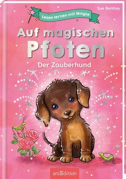 portada Lesen Lernen mit Magie: Auf Magischen Pfoten (en Alemán)