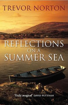portada reflections on a summer sea (en Inglés)