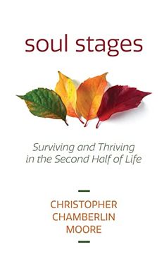portada Soul Stages: Surviving and Thriving in the Second Half of Life 