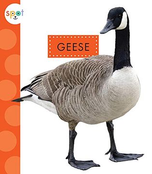 portada Geese (Spot Backyard Animals) 