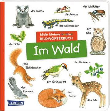 portada Mein Kleines Buntes Bildwörterbuch: Im Wald (in German)