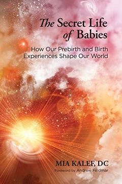 portada The Secret Life of Babies: How our Prebirth and Birth Experiences Shape our World (en Inglés)