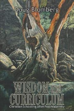 portada wisdom and curriculum: christian schooling after postmodernity (in English)