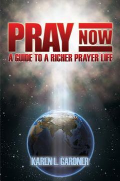 portada Pray Now: A Guide to a Richer Prayer Life (en Inglés)