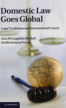 portada Domestic law Goes Global Hardback 