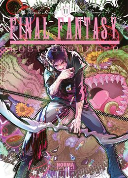 portada Final Fantasy Lost Stranger 11