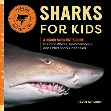 portada Sharks for Kids: A Junior Scientist's Guide to Great Whites, Hammerheads, and Other Sharks in the sea (en Inglés)