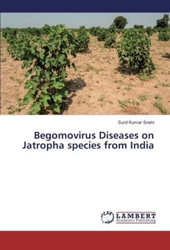 portada Begomovirus Diseases on Jatropha species from India