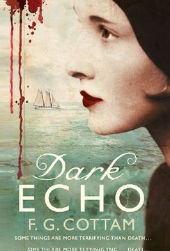 portada Dark Echo (in English)