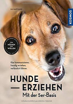 portada Hunde Erziehen? Mit der 5Er-Basis: Klar Kommunizieren, Verlässlich Führen, Freudig Erziehen. (in German)