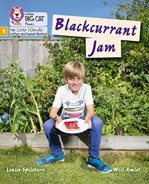 portada Big Cat Phonics for Little Wandle Letters and Sounds Revised - Blackcurrant Jam: Phase 5 (in English)