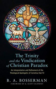 portada The Trinity and the Vindication of Christian Paradox (en Inglés)