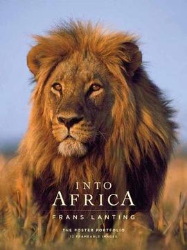 portada Into Africa: The Poster Portfolio (Insights Poster Collections)
