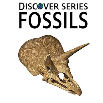portada Fossils: Discover Series Picture Book for Children (en Inglés)