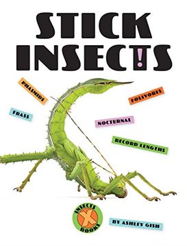 portada Stick Insects (Extreme Insects) (en Inglés)