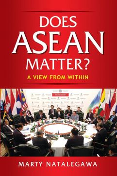 portada Does Asean Matter? A View From Within (en Inglés)