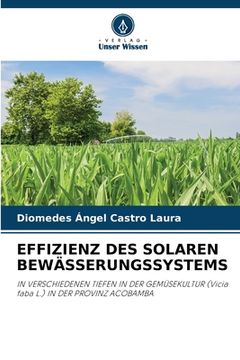portada Effizienz Des Solaren Bewässerungssystems (en Alemán)