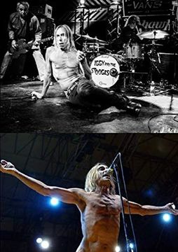 portada Iggy and the Stooges (in English)