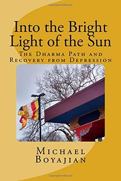 portada Into the Bright Light of the Sun: The Dharma Path and Recovery From Depression 