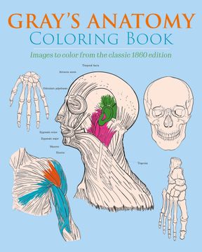 portada Gray's Anatomy Coloring Book: Images to Color From the Classic 1860 Edition (Sirius Creative Coloring) [Soft Cover ] 