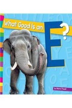 portada What Good Is an E? (Vowels: Amicus Readers 1)