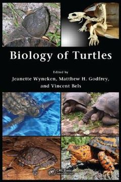 biology of turtles