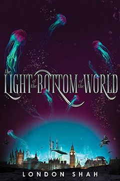 portada The Light at the Bottom of the World (en Inglés)
