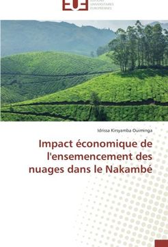 portada Impact économique de l'ensemencement des nuages dans le Nakambé