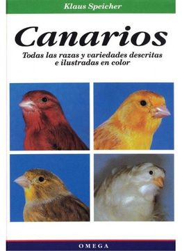 portada Canarios