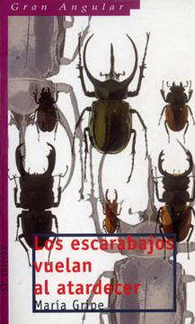 portada Los Escarabajos Vuelan al Atardecer