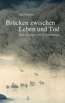 portada Brücken Zwischen Leben und Tod: Begegnungen mit Verstorbenen (en Alemán)