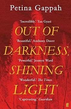 portada Out of Darkness Shining Light (in English)