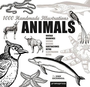 portada Animals Handmade Illustration (en Inglés)