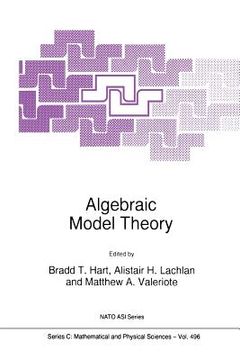 portada algebraic model theory (en Inglés)