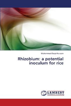 portada Rhizobium: A Potential Inoculum for Rice
