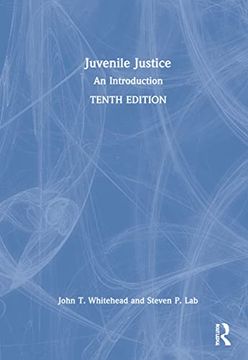 portada Juvenile Justice: An Introduction (en Inglés)