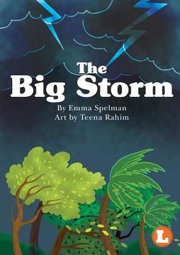 portada The big Storm (in English)