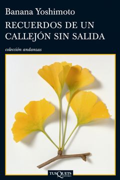 portada Recuerdos de un Callejon sin Salida (in Spanish)