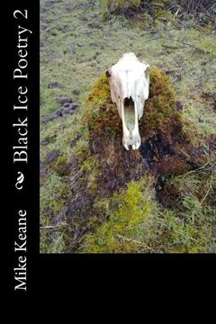 portada Black Ice Poetry 2 (Volume 2)