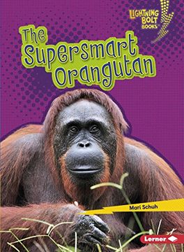 portada The Supersmart Orangutan (Lightning Bolt Books: Supersmart Animals) (en Inglés)
