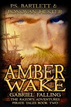 portada Amber Wake: Gabriel Falling