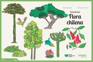portada Kamishibai Flora chilena