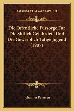portada Die Offentliche Fursorge Fur Die Sittlich Gefahrdete Und Die Gewerblich Tatige Jugend (1907) (en Alemán)