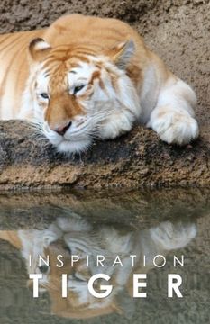 portada Inspiration Tiger: Not | Inspiration Pad