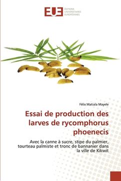 portada Essai de production des larves de rycomphorus phoenecis
