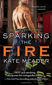portada Sparking the Fire (Hot in Chicago) (en Inglés)