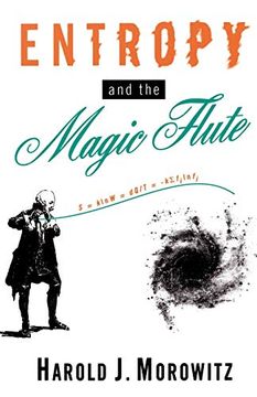 portada Entropy and the Magic Flute (en Inglés)