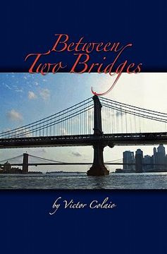 portada between two bridges (en Inglés)