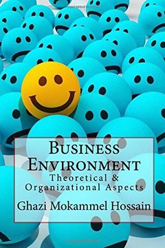 portada Business Environment: Theoretical & Organizational Aspects