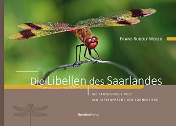portada Die Libellen des Saarlandes (en Alemán)